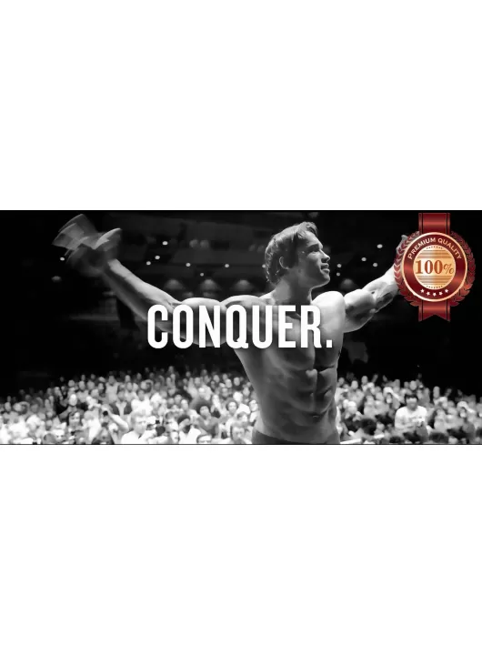 CONQUER ARNOLD BODYBUILDER MR OLYMPIA SPORT WALL QUOTE PRINT PREMIUM POSTER