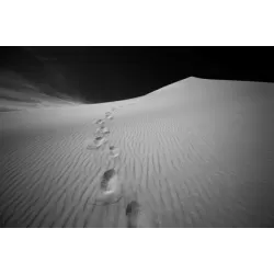 LARGE FOOT STEPS IN SAND LANDSCAPE PHOTO PHOTOGRAPH ART PRINT PREMIUM POSTER