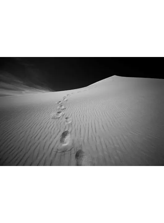 LARGE FOOT STEPS IN SAND LANDSCAPE PHOTO PHOTOGRAPH ART PRINT PREMIUM POSTER LARGE FOOT STEPS IN SAND LANDSCAPE PHOTO PHOTOGRAPH ART PRINT PREMIUM POSTER