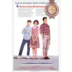 SIXTEEN CANDLES 16 1984 80s ORIGINAL OFFICIAL CINEMA MOVIE PRINT PREMIUM POSTER