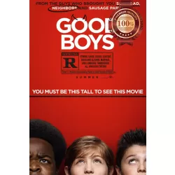 GOOD BOYS 2019 OFFICIAL ORIGINAL CINEMA MOVIE FILM PRINT PREMIUM POSTER
