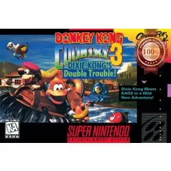 DONKEY KONG COUNTRY 3 SNES ORIGINAL VIDEO GAME ART ARTWORK PRINT PREMIUM POSTER