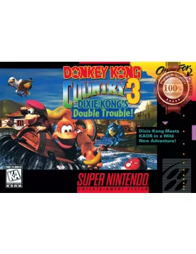 DONKEY KONG COUNTRY 3 SNES ORIGINAL VIDEO GAME ART ARTWORK PRINT PREMIUM POSTER