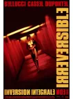 IRREVERSIBLE 2002 CINEMA ORIGINAL MOVIE FILM PRINT PREMIUM POSTER IRREVERSIBLE 2002 CINEMA ORIGINAL MOVIE FILM PRINT PREMIUM POSTER
