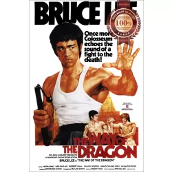 THE WAY OF THE DRAGON 70s BRUCE LEE ORIGINAL FILM MOVIE PRINT PREMIUM POSTER