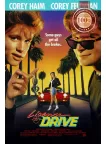 LICENSE TO DRIVE 1988 80s COMEDY ORIGINAL MOVIE FILM CINEMA PRINT PREMIUM POSTER