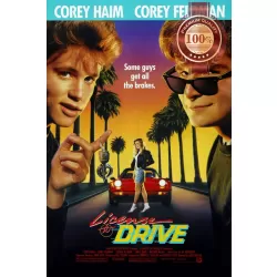 LICENSE TO DRIVE 1988 80s COMEDY ORIGINAL MOVIE FILM CINEMA PRINT PREMIUM POSTER