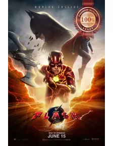 THE FLASH 2023 DC MAIN ORIGINAL CINEMA MOVIE FILM ART PRINT PREMIUM POSTER
