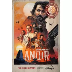ANDOR STAR WARS TV SERIES ORIGINAL OFFICIAL ART PRINT PREMIUM POSTER