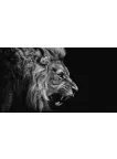 LION ROARING SIDE PROFILE CLOSE WILD BEAUTIFUL ANIMAL PRINT PREMIUM POSTER