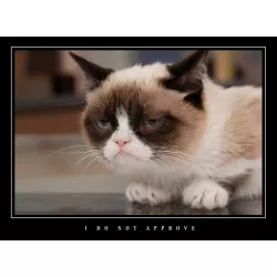 LARGE FUNNY DEMOTIVATIONAL GRUMPY CAT LARGE WALL ART PHOTO PRINT PREMIUM POSTER