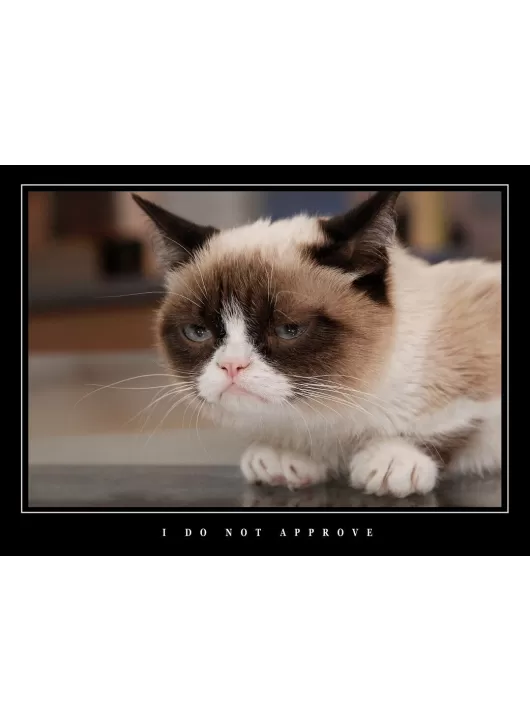 LARGE FUNNY DEMOTIVATIONAL GRUMPY CAT LARGE WALL ART PHOTO PRINT PREMIUM POSTER
