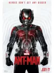 ANT MAN ANTMAN ORIGINAL TEASER 2015 MARVEL FILM MOVIE PRINT PREMIUM POSTER