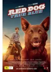 RED DOG TRUE BLUE 2 II 2016 ORIGINAL AUS MOVIE FILM CINEMA PRINT PREMIUM POSTER RED DOG TRUE BLUE 2 II 2016 ORIGINAL AUS MOVIE FILM CINEMA PRINT PREMIUM POSTER