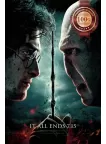 IT ALL ENDS HARRY POTTER AND THE DEATHLY HALLOWS MOVIE PRINT PREMIUM POSTER