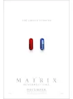 THE MATRIX 4 RESURRECTIONS PILLS 2021 ORIGINAL CINEMA MOVIE PRINT PREMIUM POSTER