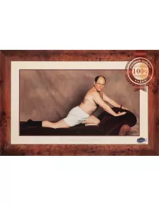 THE TIMELESS ART OF SEDUCTION SEINFELD TV ORIGINAL PRINTED FRAME PREMIUM POSTER