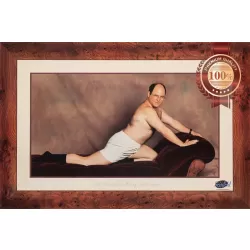 THE TIMELESS ART OF SEDUCTION SEINFELD TV ORIGINAL PRINTED FRAME PREMIUM POSTER