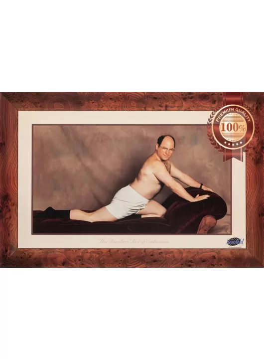 THE TIMELESS ART OF SEDUCTION SEINFELD TV ORIGINAL PRINTED FRAME PREMIUM POSTER