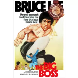 THE BIG BOSS BRUCE LEE 1971 ORIGINAL CINEMA FILM MOVIE PRINT PREMIUM POSTER