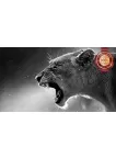 LIONESS LION ROARING TEETH WILD BIG CAT AFRICA ANIMAL PRINT PREMIUM POSTER