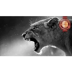 LIONESS LION ROARING TEETH WILD BIG CAT AFRICA ANIMAL PRINT PREMIUM POSTER