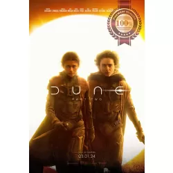 DUNE PART 2 2024 TEASER SUN ORIGINAL MOVIE CINEMA PRINT PREMIUM POSTER