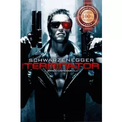 THE TERMINATOR V2 HOLDING GUNS ART ORIGINAL CINEMA MOVIE PRINT PREMIUM POSTER