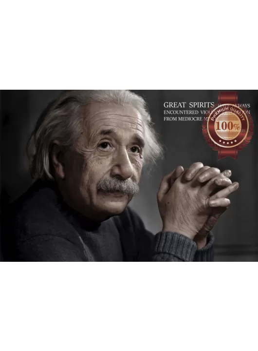ALBERT EINSTEIN FAMOUS QUOTE MOTIVATIONAL INSPIRATIONAL PRINT PREMIUM POSTER