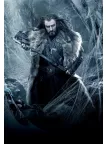 90x60CM THE HOBBIT DWAF KING THORIN DESOLATION OF SMAUG WALL PRINT POSTER 90x60CM THE HOBBIT DWAF KING THORIN DESOLATION OF SMAUG WALL PRINT POSTER