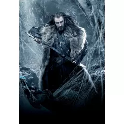 90x60CM THE HOBBIT DWAF KING THORIN DESOLATION OF SMAUG WALL PRINT POSTER