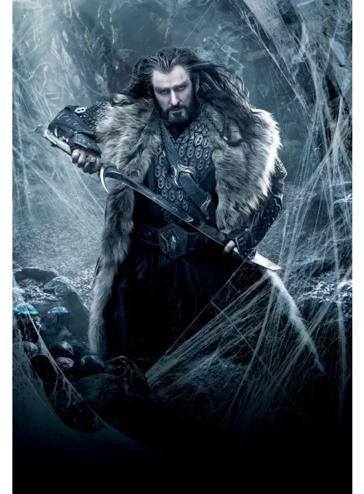 90x60CM THE HOBBIT DWAF KING THORIN DESOLATION OF SMAUG WALL PRINT POSTER 90x60CM THE HOBBIT DWAF KING THORIN DESOLATION OF SMAUG WALL PRINT POSTER
