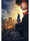 FANTASTIC BEASTS AND WHERE TO FIND THEM 2016 MOVIE FILM PRINT PREMIUM POSTER