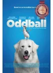 ODDBALL 2015 UNDERDOG STORY ORIGINAL MOVIE FILM CINEMA PRINT PREMIUM POSTER ODDBALL 2015 UNDERDOG STORY ORIGINAL MOVIE FILM CINEMA PRINT PREMIUM POSTER