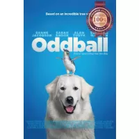 ODDBALL 2015 UNDERDOG STORY ORIGINAL MOVIE FILM CINEMA PRINT PREMIUM POSTER