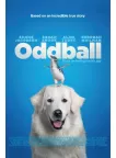 ODDBALL 2015 UNDERDOG STORY ORIGINAL MOVIE FILM CINEMA PRINT PREMIUM POSTER ODDBALL 2015 UNDERDOG STORY ORIGINAL MOVIE FILM CINEMA PRINT PREMIUM POSTER