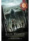 THE MAZE RUNNER 2014 1 ONE FIRST FILM MOVIE ORIGINAL CINEMA PRINT PREMIUM POSTER
