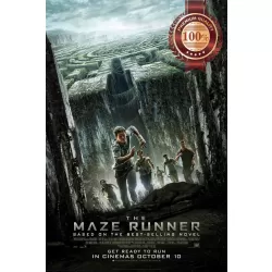 THE MAZE RUNNER 1 ONE FIRST FILM MOVIE ORIGINAL CINEMA PRINT PREMIUM POSTER