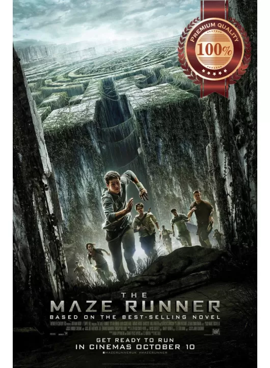 THE MAZE RUNNER 2014 1 ONE FIRST FILM MOVIE ORIGINAL CINEMA PRINT PREMIUM POSTER