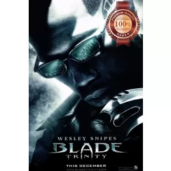 BLADE TRINITY WESLEY SNIPES CINEMA FILM MOVIE ORIGINAL PRINT PREMIUM POSTER