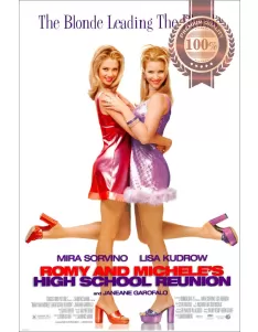 ROMY AND MICHELE'S HIGH SCHOOL REUNION 1997 90s ORIGINAL MOVIE  PRINT PREMIUM POSTER