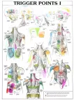 TRIGGER POINTS PART 1 ANATOMICAL DIAGRAM CHART ANATOMY PRINT PREMIUM POSTER