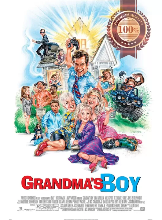 GRANDMA'S BOY 2006 FILM MOVIE ORIGINAL CINEMA ART PRINT PREMIUM POSTER