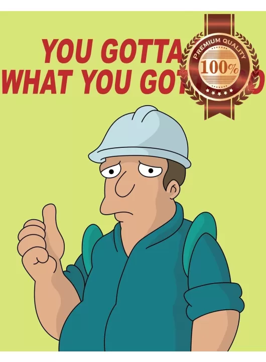 59CM x 72CM YOU GOTTA DO WHAT YOU GOTTA DO FUTURAMA DEMOTIVATIONAL PRINT POSTER