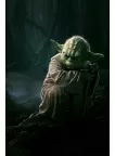 STAR WARS YODA DAGOBAH SWAMP SCENE ARTWORK WALL ART PRINT - PREMIUM POSTER