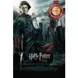 HARRY POTTER AND THE GOBLET OF FIRE 2005 MOVIE FILM ORIGINAL PRINT PREMIUM POSTER
