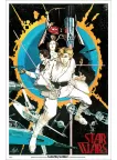 A NEW HOPE STAR WARS IV 4 HOWARD CHAYKIN ART ORIGINAL MOVIE PRINT PREMIUM POSTER