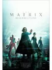 THE MATRIX 4 RESURRECTIONS 2021 ORIGINAL CINEMA MOVIE FILM PRINT PREMIUM POSTER