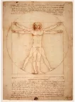 ORIGINAL VITRUVIAN MAN LEONARDO DA VINCI WALL ART PRINT PREMIUM POSTER ORIGINAL VITRUVIAN MAN LEONARDO DA VINCI WALL ART PRINT PREMIUM POSTER