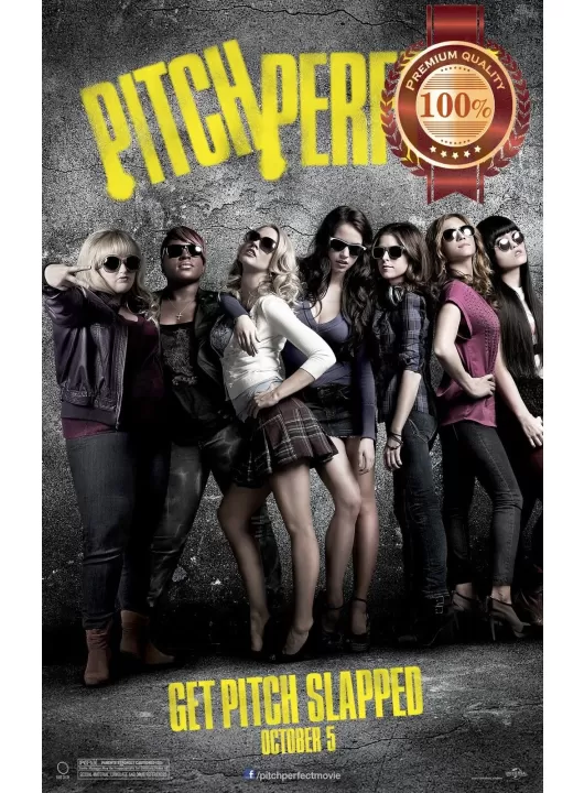 PITCH PERFECT 2012 1 ONE MOVIE FILM ORIGINAL OFFICIAL CINEMA PRINT PREMIUM POSTER